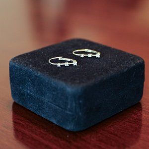 Diamond and white gold leverback earrings